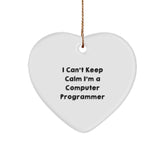Funny Computer Programmer Gifts from Friends - I'm a Computer Programmer Heart Ornament for Men, Unique Christmas Unique Gifts for Family, Women, Coworkers - Image 1